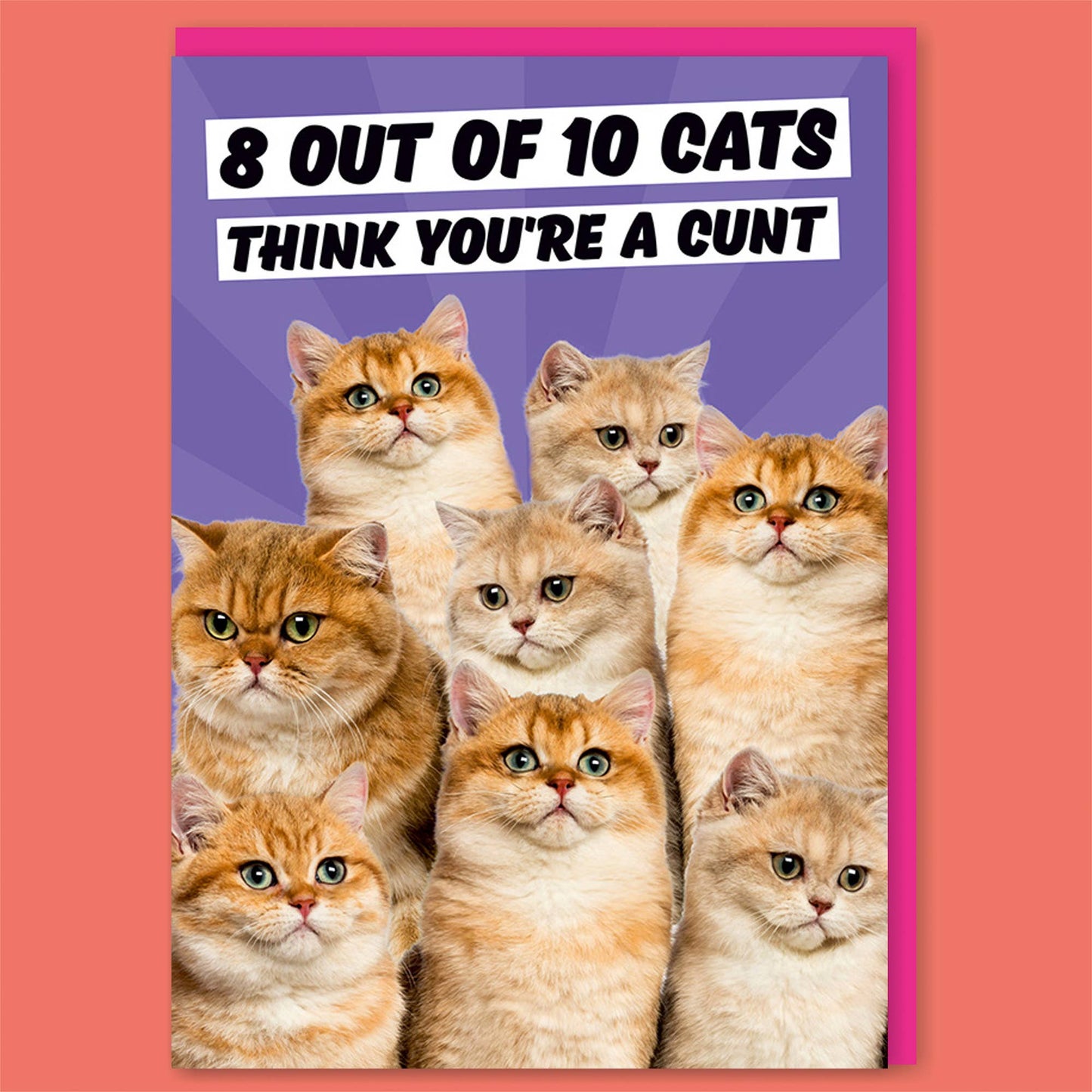 Dean Morris Cards - 8 out of 10 Cats Greeting Card