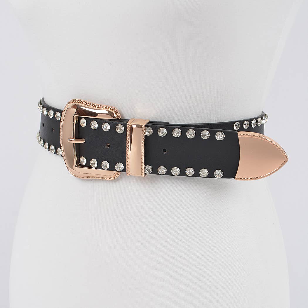 Rhinestone Trimmed Multi Metal Plus Size Belt: Black Silver
