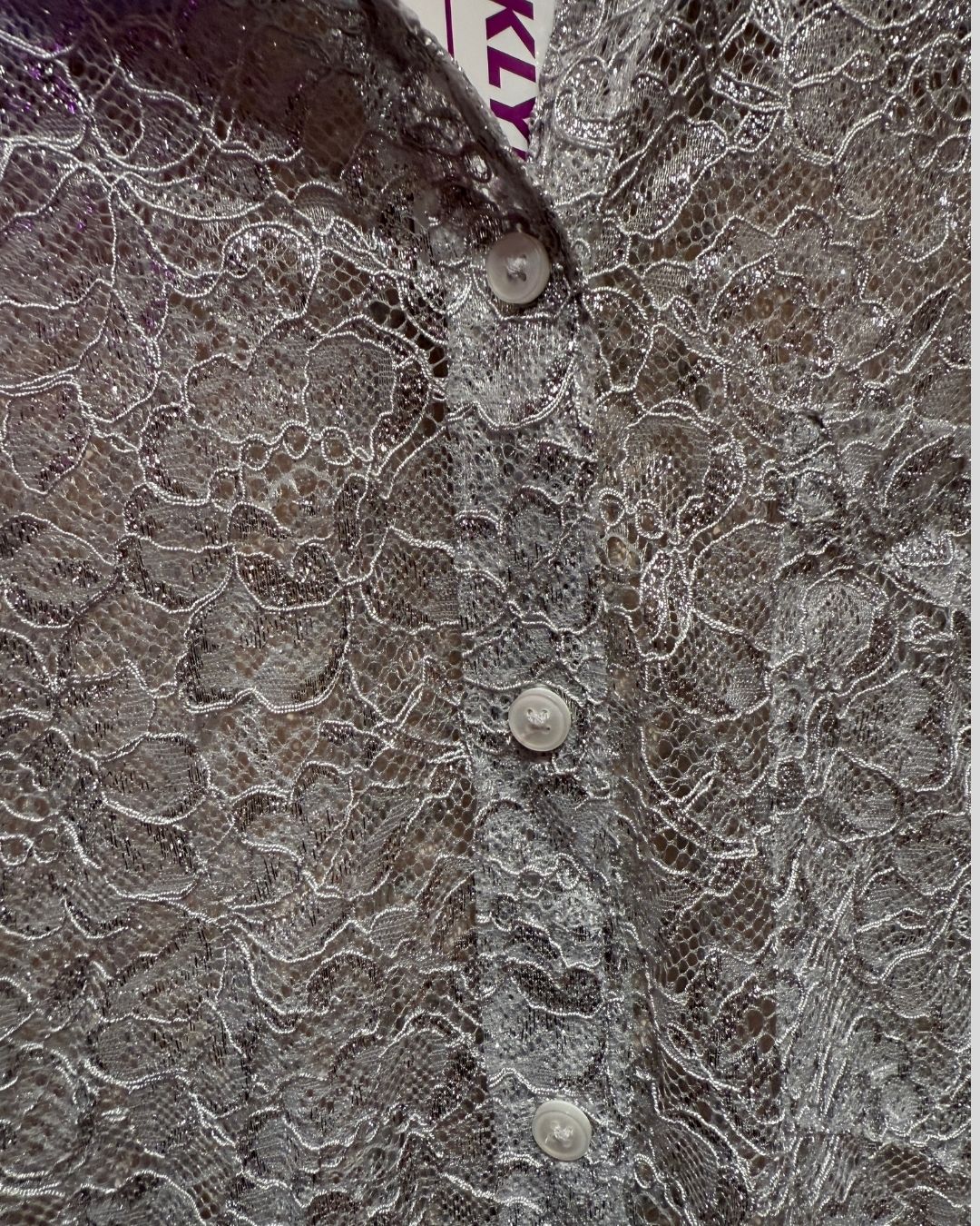 Anthropologie NWT silver floral lace button down top (2X)