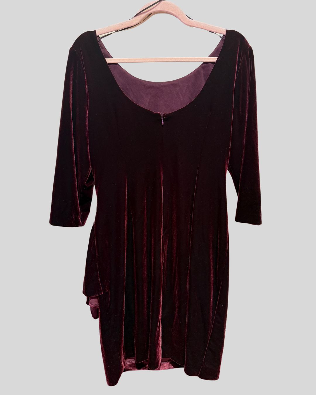 ALEX EVENINGS NWT red velvet embellished dress (14P)