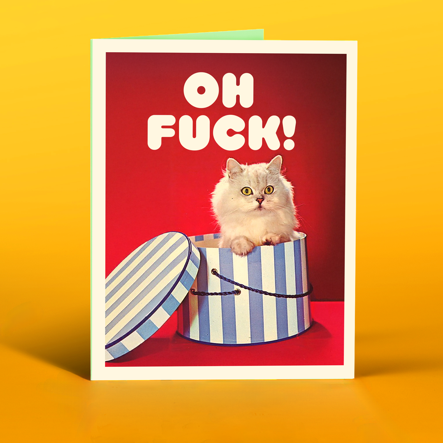 Oh Fuck! Cat Greeting Card