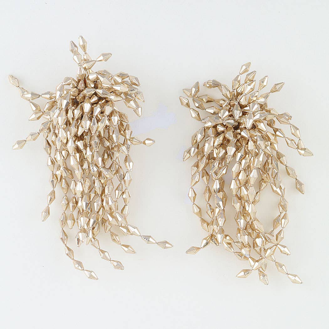 Polished Diamond Crystal Beaded Earrings: RD