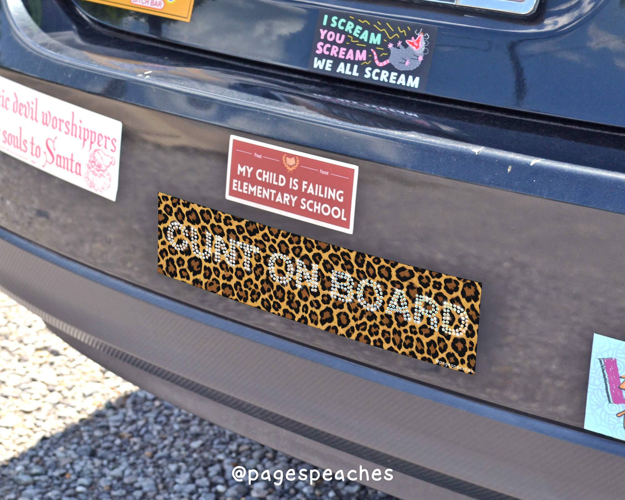 Cunt On Board Bumper Sticker: Sticker