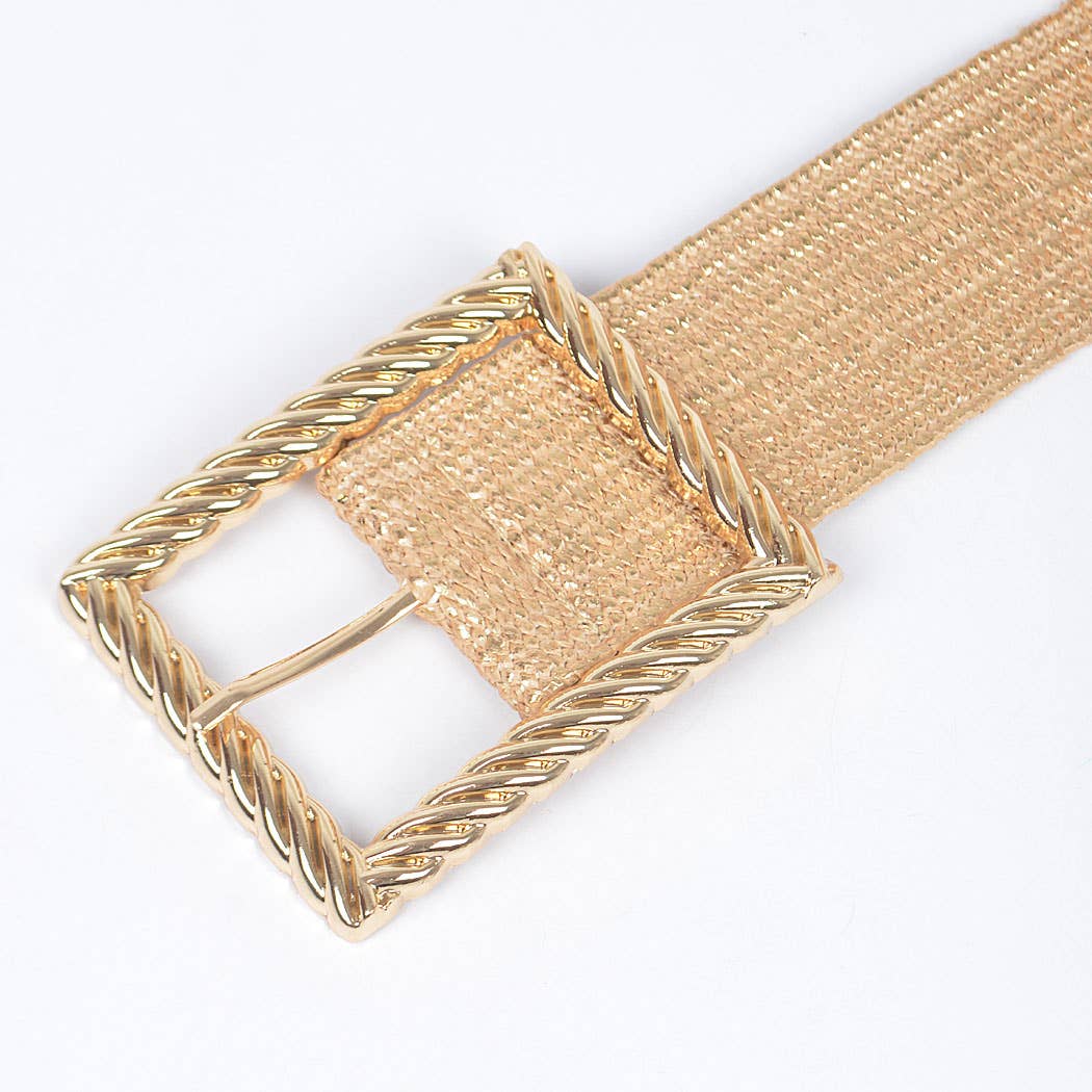 Wide Metal Twist Frame Buckle Plus Size Belt
HB8552: GD