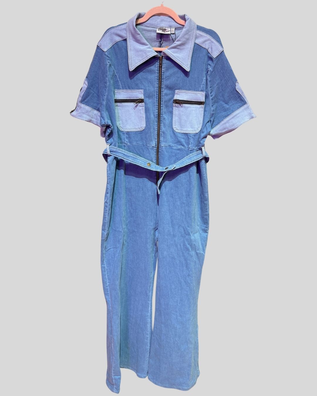 The Hippie Shake NWT Denim Jumpsuit (18)