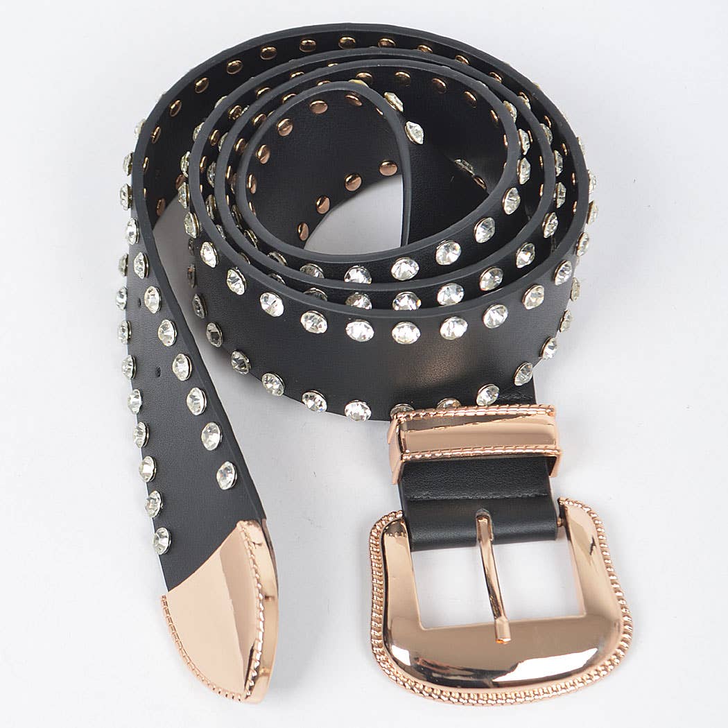 Rhinestone Trimmed Multi Metal Plus Size Belt: Black Silver