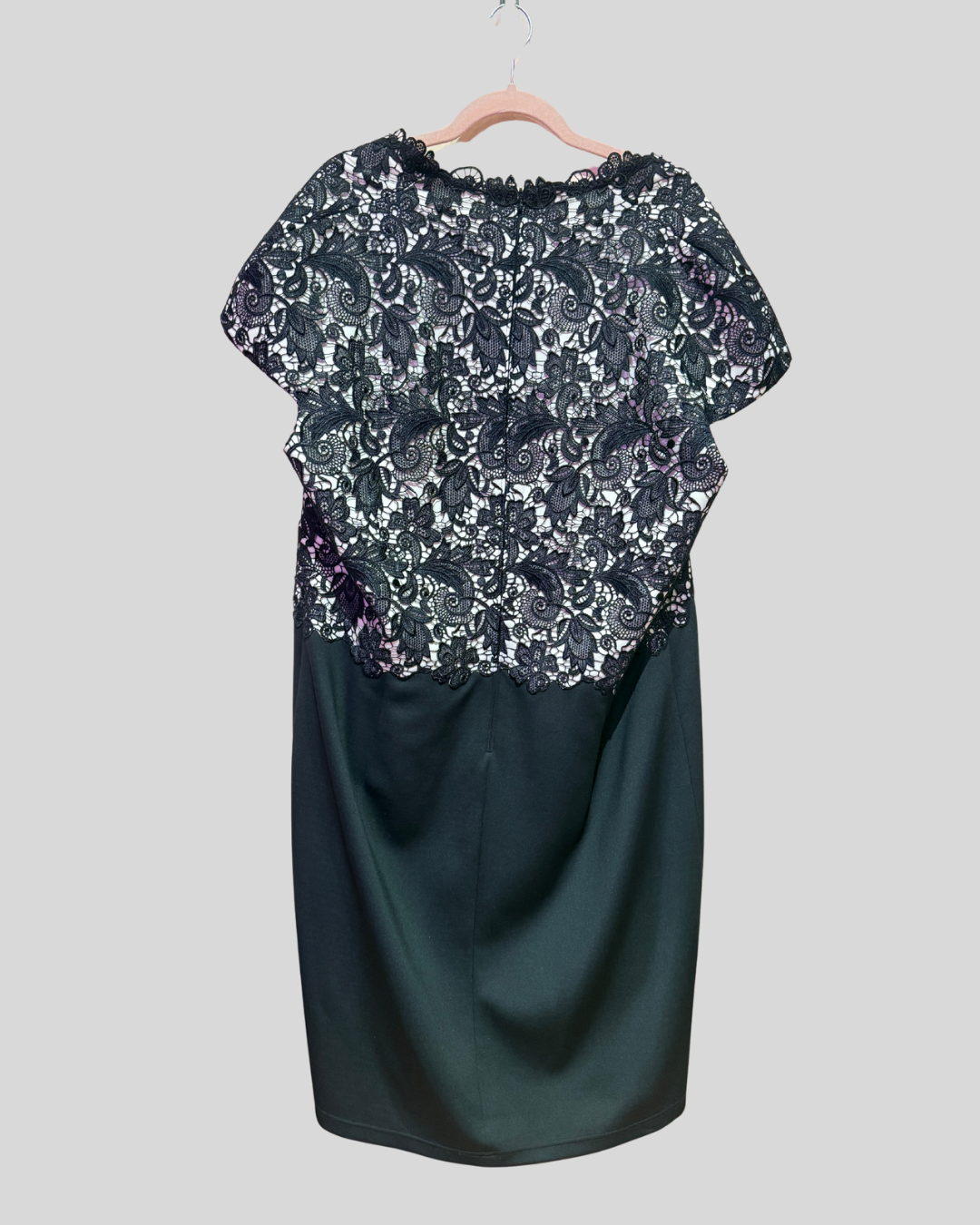 Tadashi Shoji Too Black Lace Combo Fabric Dress (2/3X)