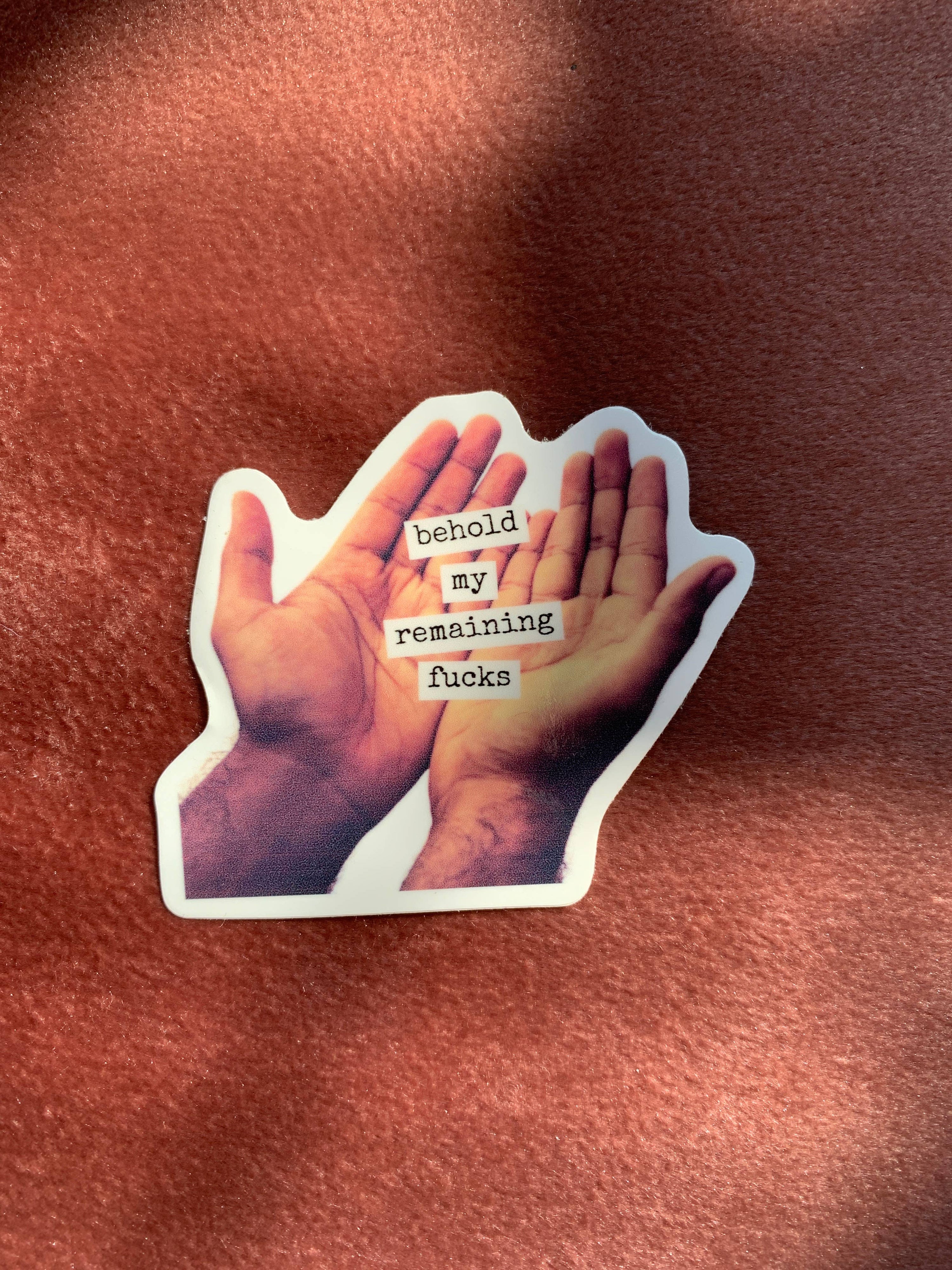 Behold My Remaining Fucks Sticker