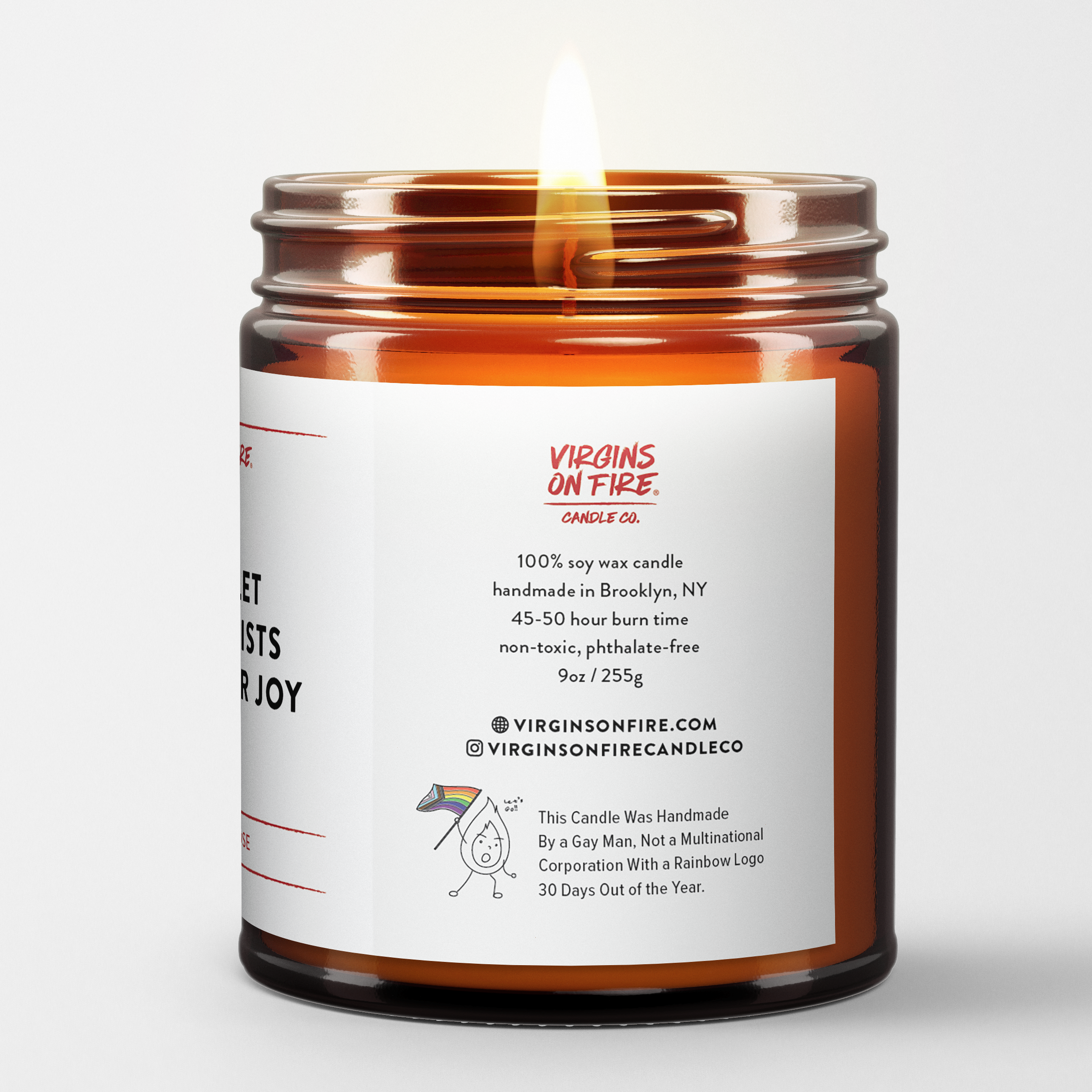 DON'T LET THE FASCISTS STEAL YOUR JOY Scented Soy Wax Candle