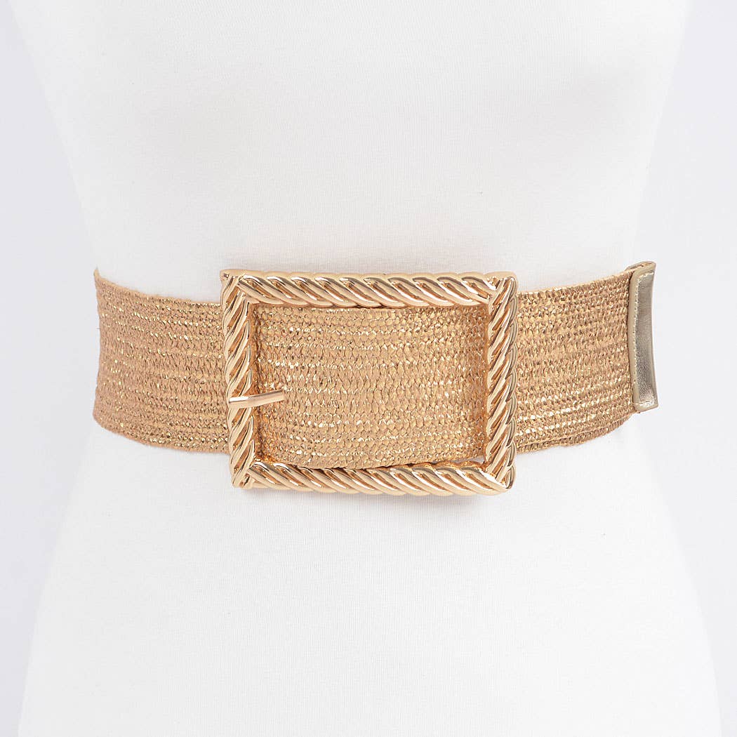 Wide Metal Twist Frame Buckle Plus Size Belt
HB8552: GD