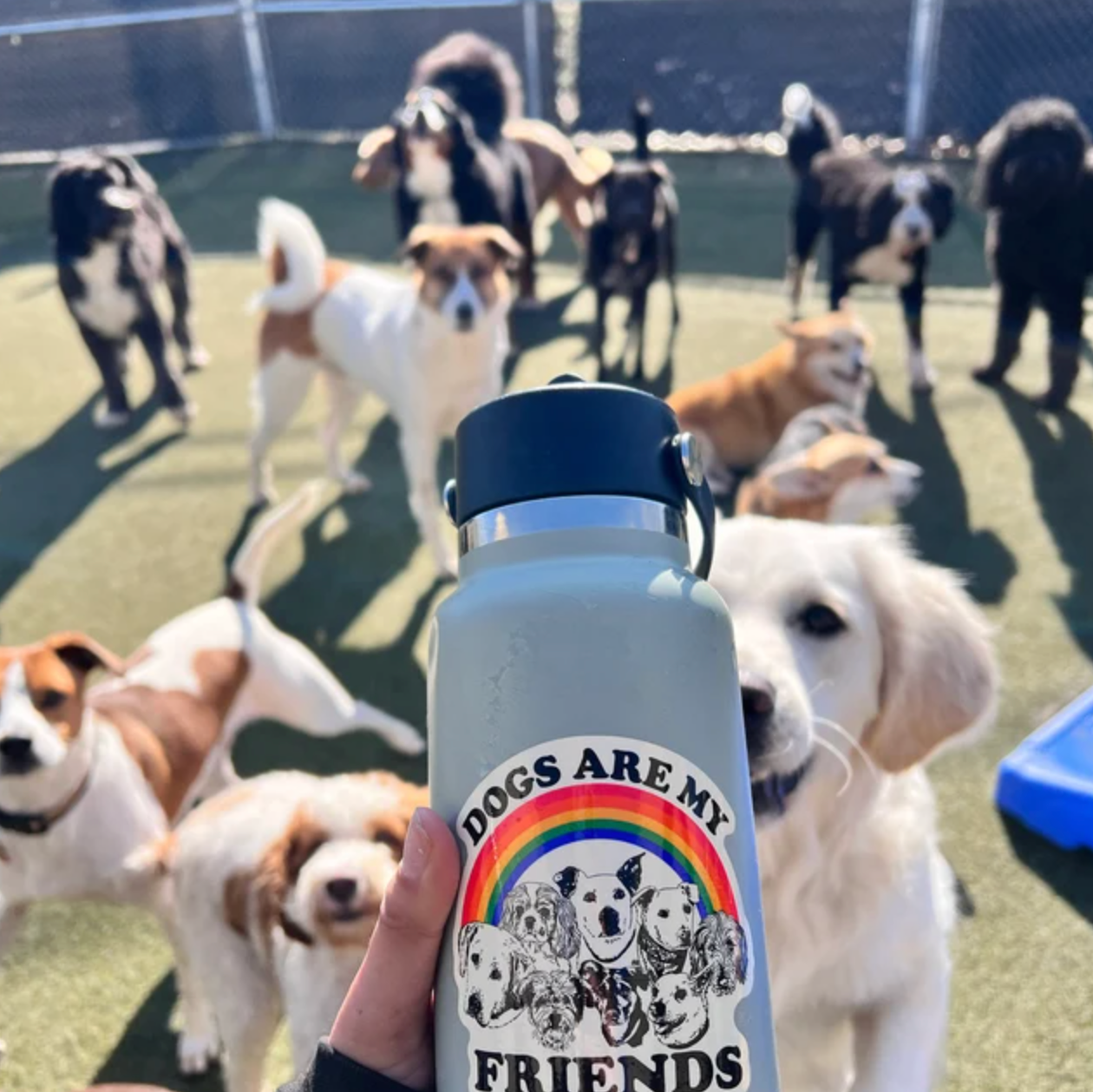 Dogs Are My Friends STICKER 3"