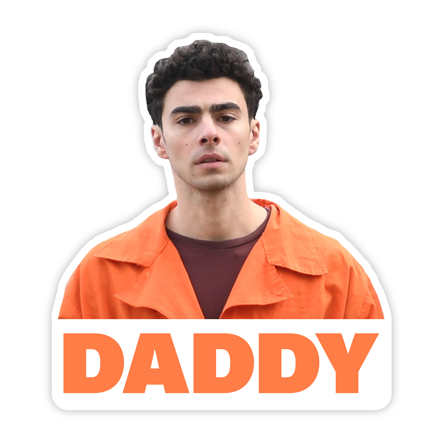 Daddy Luigi Mangione Sticker