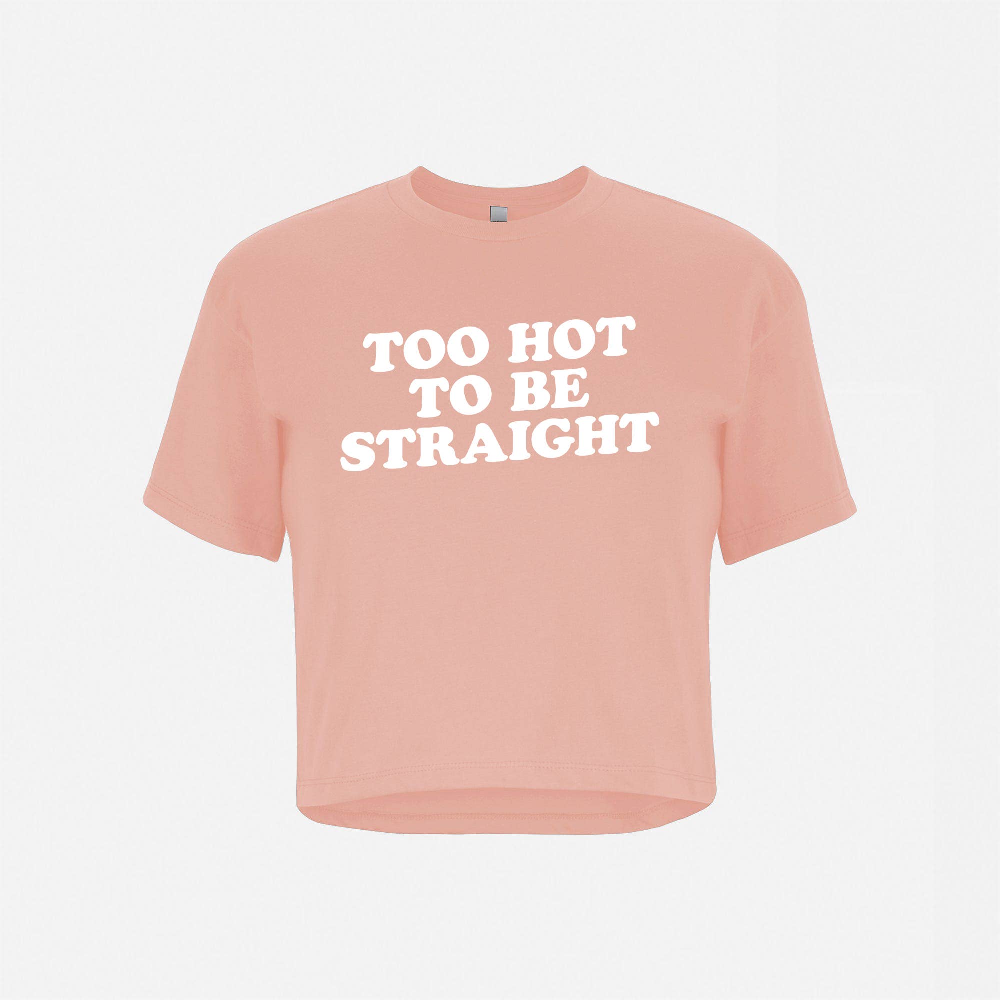 Too Hot To Be Straight Crop Top Tee: Pink / 2XL