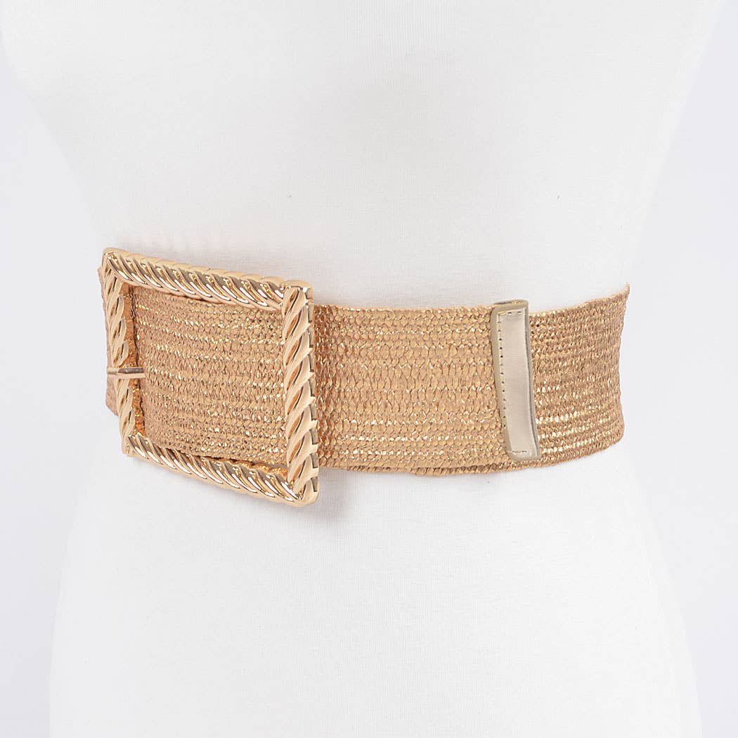 Wide Metal Twist Frame Buckle Plus Size Belt
HB8552: GD