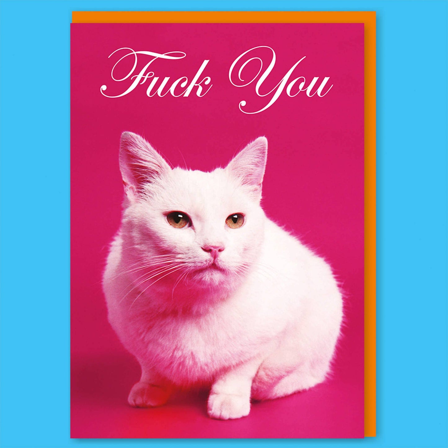 Dean Morris Cards - F*** You Cat Greeting Card